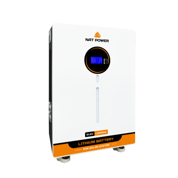 Batería de Litio 300Ah 15.36kWh